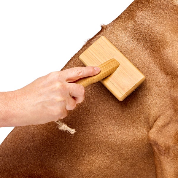 DOG by Dr Lisa Large Dog Slicker Brush The Container Store